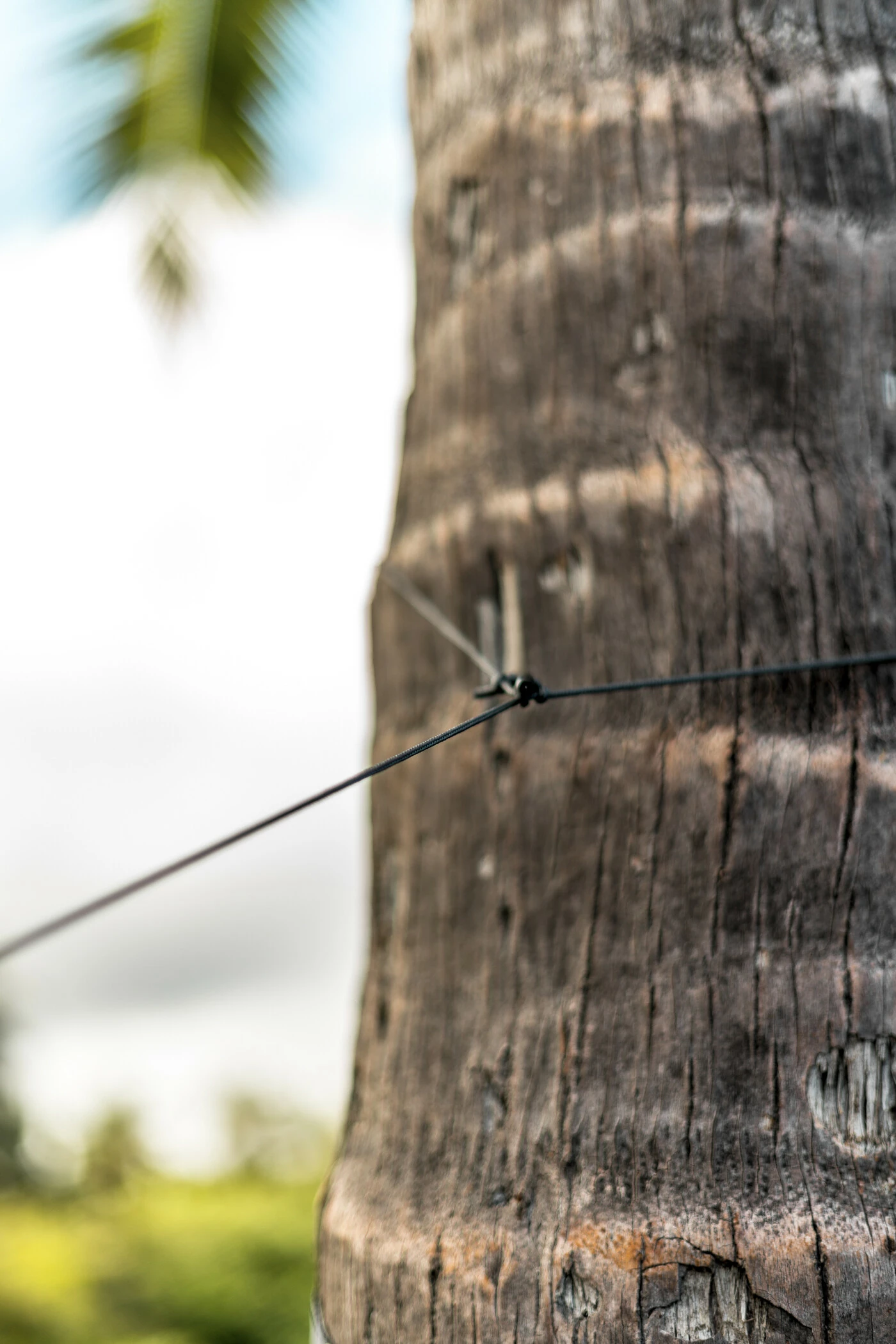 Coupon 😀 Klymit Traverse Bug Net, Grijs 🛒 11 Coupon 😀 Klymit Traverse Bug Net, Grijs 🛒 - Afbeelding 9