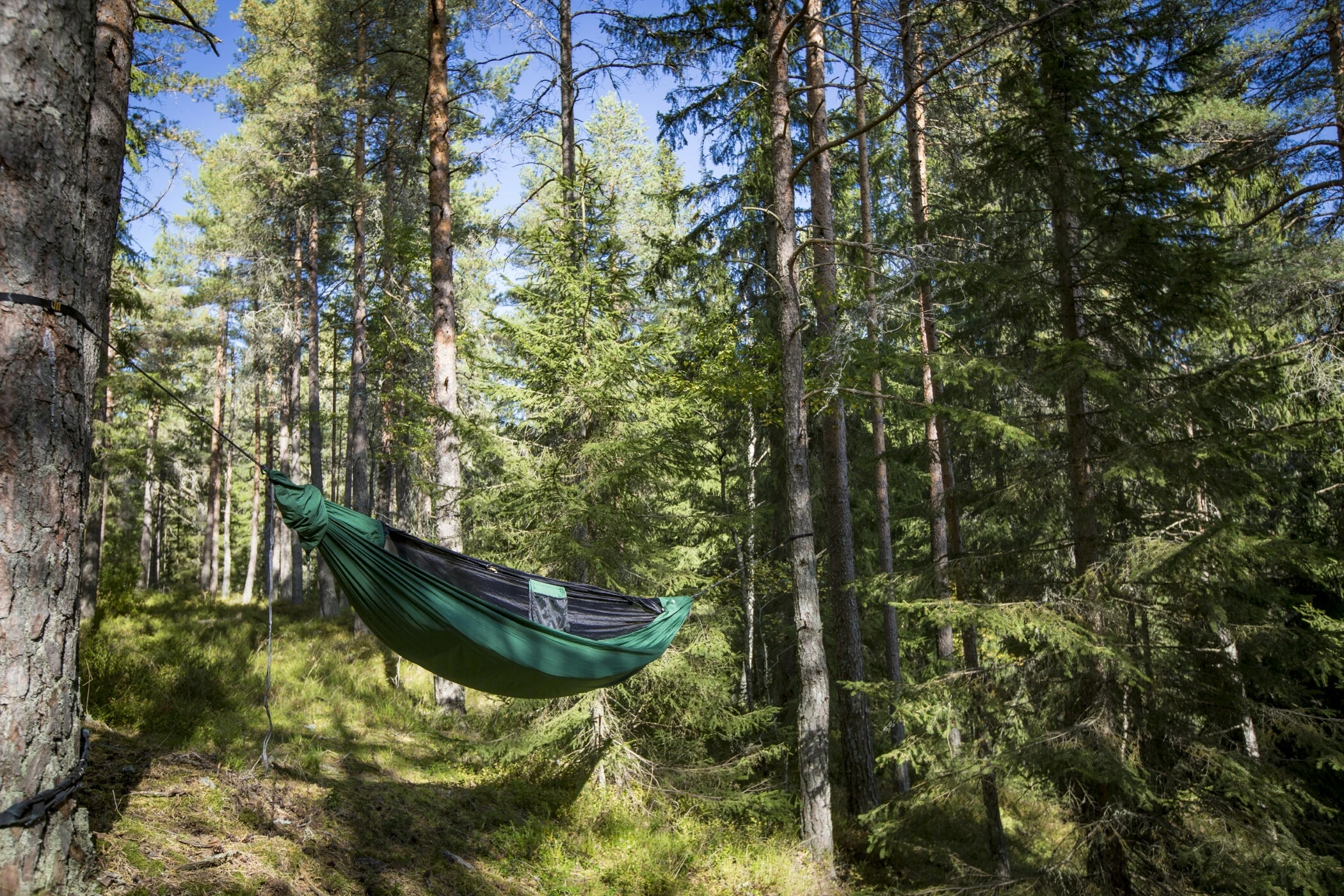 Coupon 😀 Ticket To The Moon Pro Hammock Incl. Zipable Mosquito Net And UHMPE Ridgeline, Groen ⌛ 12 Coupon 😀 Ticket To The Moon Pro Hammock Incl. Zipable Mosquito Net And UHMPE Ridgeline, Groen ⌛ - Afbeelding 10